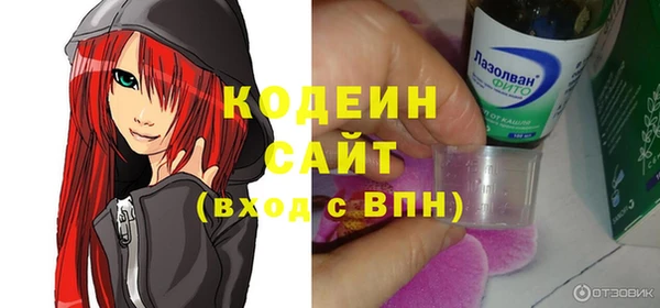 гашик Кулебаки