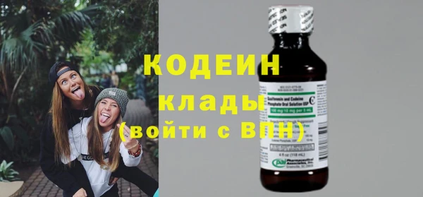 гашик Кулебаки