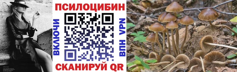 Галлюциногенные грибы Magic Shrooms  Купить закладки  Волжский 