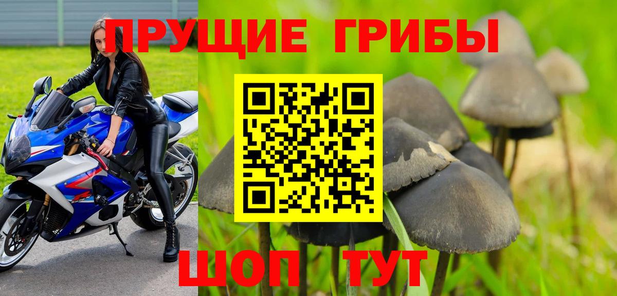 Галлюциногенные грибы GOLDEN TEACHER  Волжский 