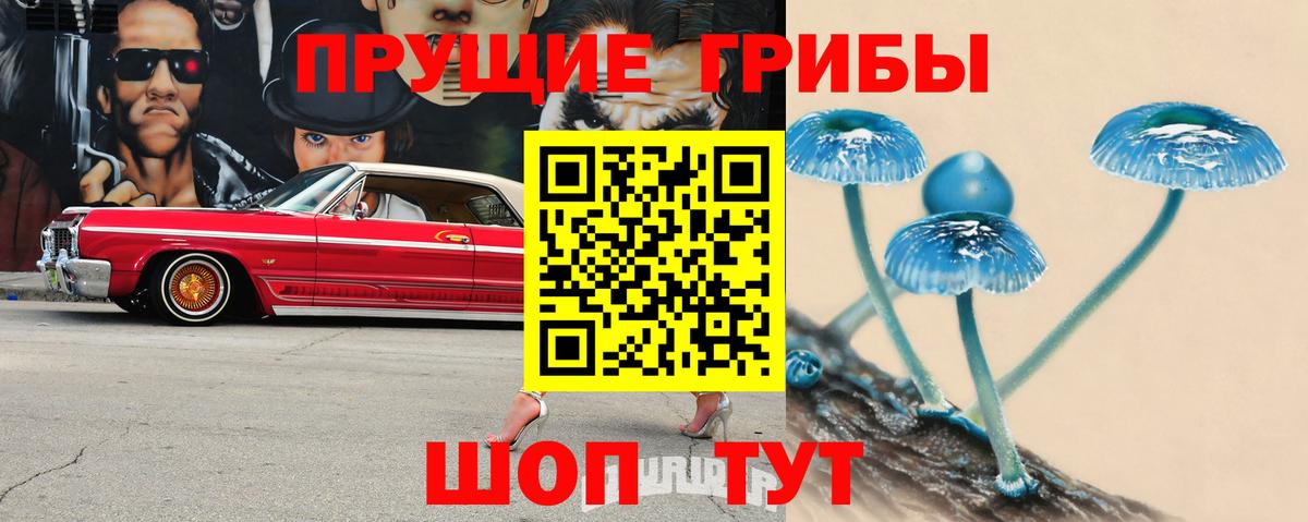 Псилоцибиновые грибы Magic Shrooms Волжский
